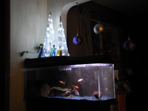 the stained glass, trees, fish and snail...