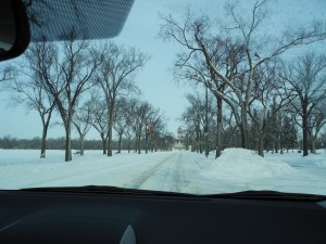 our last drive through the park...