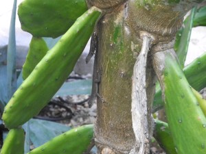 these little guys are everywhere and move at the speed of light...