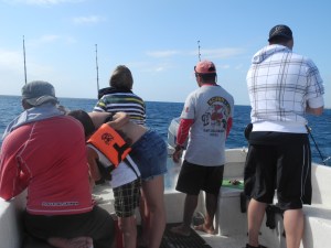 here fishy, fishy, fishy...