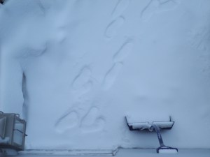 to and from the hot tub, but not in it...