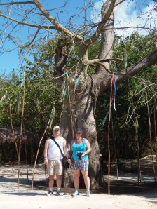 the kapok tree on our stroll...