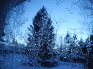 frost on the window...
