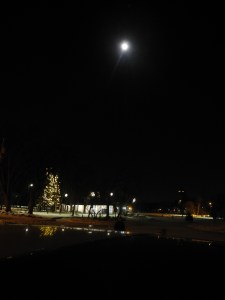 a lovely moonlit night at the Park...