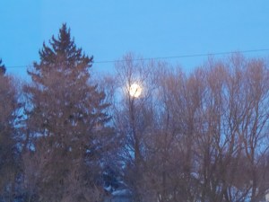 just going below the trees.