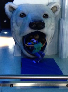 down the slide and through the bear's mouth...