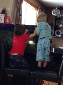 after which we fed them...