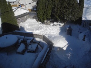 actively used garden...