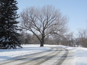 one of the last pictures I took before George died...