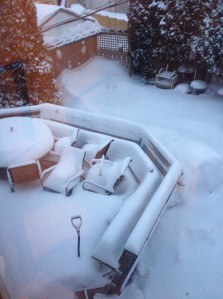 taken with my iPhone shows how deep the snow is...