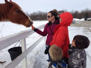 feeding the horse at The Gates...