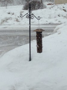 huge snowflakes falling...