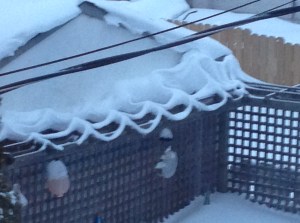 lacy effect for a few short days...