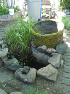 kidney shaped pond with a barrel...