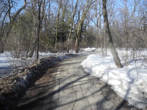 path is clear although there is still lots of snow...