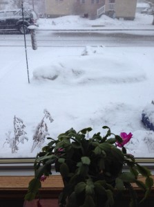 lots of snow on the ground when I woke up...