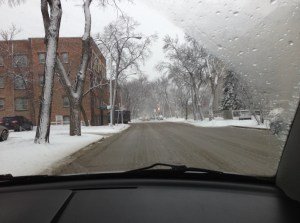 snow stuck to the trees, was pretty, but needs to stop...