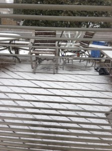 deck covered AGAIN... although it did melt late in the afternoon...