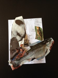 pictures that show what we do together...