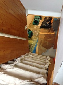 looking into the basement...