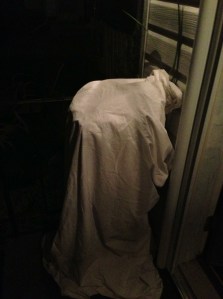 hoping to stay warm and cozy...