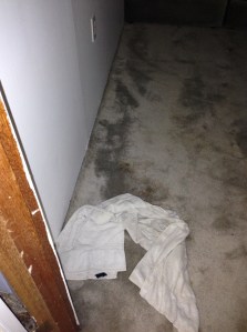 wet carpet...