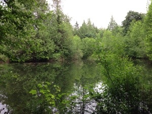 20130606-194052.jpg