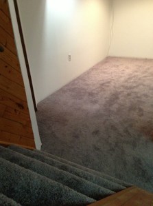 newly painted and carpeted basement...