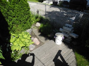 after weeding for half an hour...