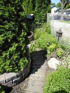 after an hour of weeding...