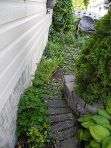 DSCN0519after an hour and a half