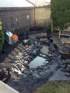 pond after rain storm...