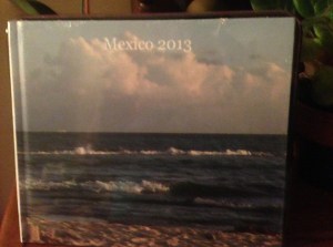 Mexico Vacation book...