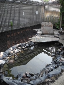 pond this morning...