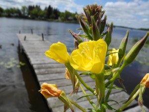 lovely things to see...