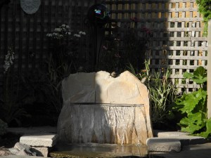 sparrows checking out the new view...