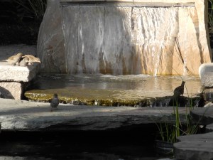 walking along the bridge...
