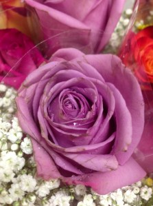 roses to celebrate a great year...