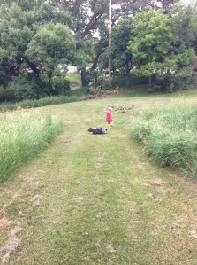 running and rolling 5...