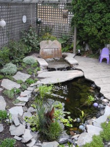 the pond this morning...