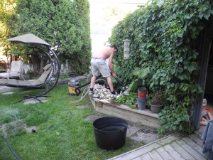 vacuuming out the pond...