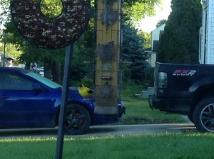 goldfinch as I was leaving the house...