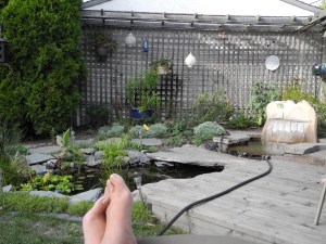 reading and watching the plants get watered at the root level...