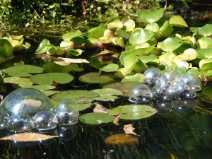 rearranged floating objects in the pond...