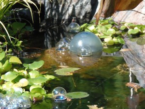 lily pads and floats...