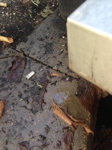 dripping on the left side...