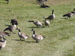 not sure if this was play or a fight...