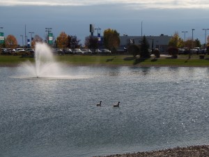 nice with the fountain...