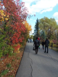beautiful fall colours as the family moves on the see the kangaroos...