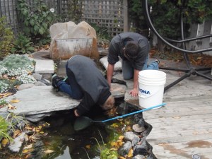 the big boys catching the fish...